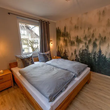 Auszeit-im-harz Haus 3 5 公寓 布劳恩拉格