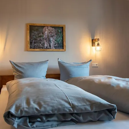 公寓 Auszeit-im-harz Haus 3 5